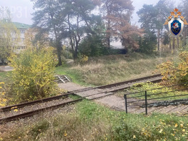 В Шебекинском районе Белгородской области задержан мужчина, совершивший двойную попытку убийства прохожих
