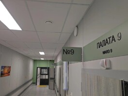 Пять пациентов в Петербурге помещены в стационар из‑за подозрения на оспу обезьян
